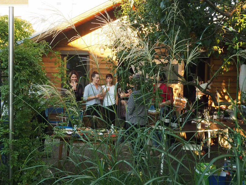 Schrebergarten in der Abendsonne